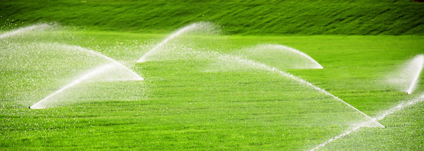 automatic irrigation of grass on garden charleston sc