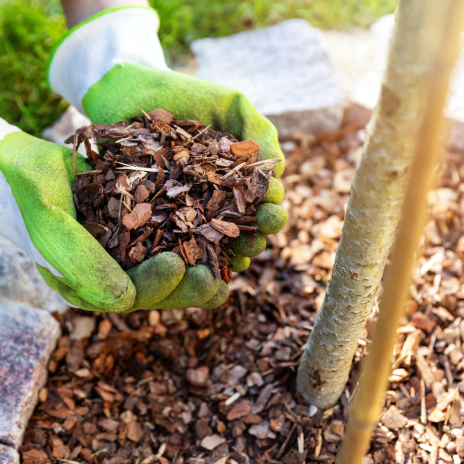 Fresh Mulch (1)